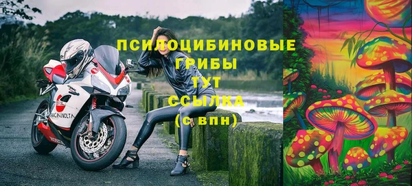 метадон Арсеньев