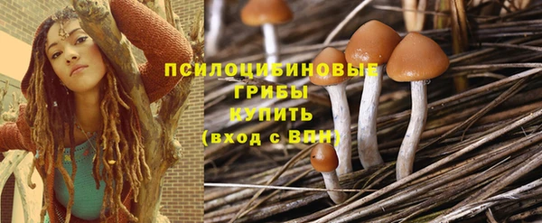 метадон Арсеньев