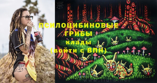 шишки Баксан