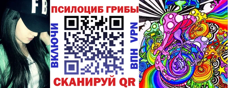 Псилоцибиновые грибы Psilocybine cubensis  Зеленокумск 