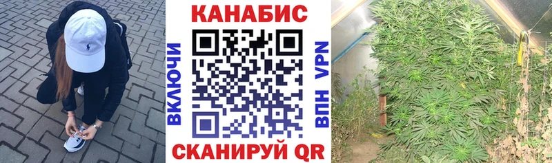 Каннабис SATIVA & INDICA  даркнет сайт  Зеленокумск 